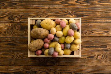 Assorted cultivars of fresh cleaned potatoes