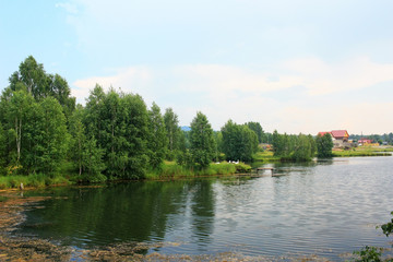 Obraz premium Forest on the shore of the pond