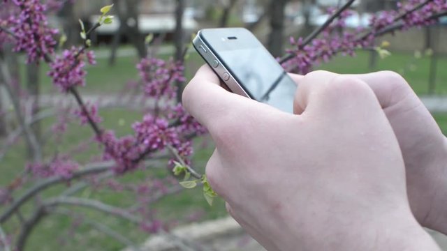Mobile Cell Phone in the Hands of a Man - chating wrighting sms - in a city park