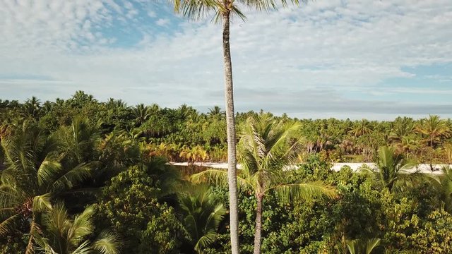 Taha and Bora Bora aerial view panorama landscape French Polynesia