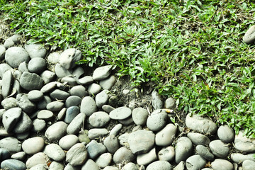 Green grass with Pebbles, Stone and grass in garden