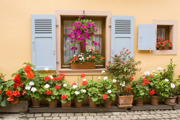 07/15/2018  Eguishem France. Window and flowers olored in front of a half timbered house in Eguishem Alsace France.
