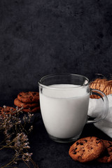 Milk and cookies