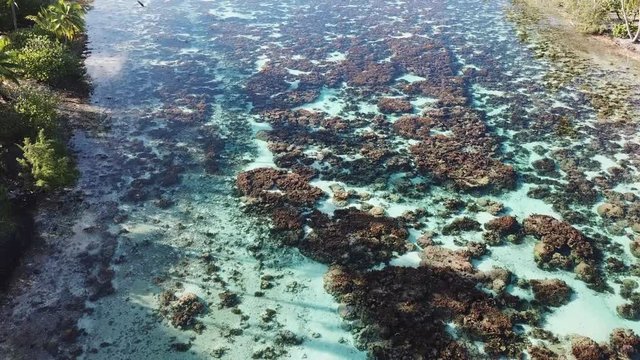 Taha and Bora Bora aerial view panorama landscape French Polynesia