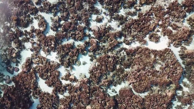 Taha and Bora Bora aerial view panorama landscape French Polynesia