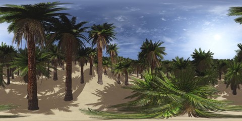 Obraz na płótnie Canvas Tree of palm trees. Environment map. HDRI map. Equirectangular projection. Spherical panorama. landscape 