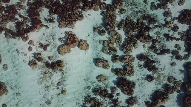 Taha and Bora Bora aerial view panorama landscape French Polynesia