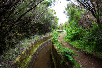 Levada walks on madeira