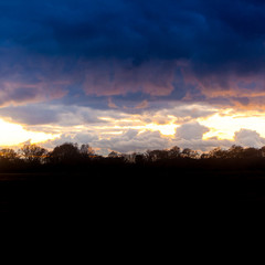 Sunset over the New Forest