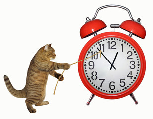 The cat is trying to stop time. White background.