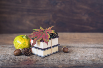 Back to school. Leaves and cones, acorns, pumpkins. September 1