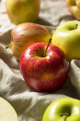 Raw Organic Assorted Apples