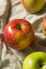 Naklejka na ściany i meble Raw Organic Assorted Apples