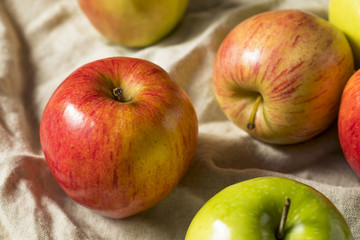 Raw Organic Assorted Apples