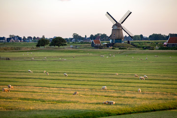 Fototapeta na wymiar Windmill in Holland 