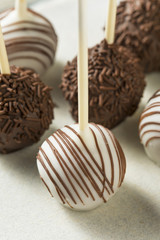 Sweet Homemade Chocolate and Vanilla Cake Pops