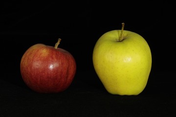Single or group of apples including granny smith, golden delicious and royal gala on a black background.