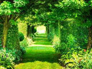 colorful tunnel of green plants