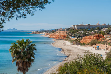 Fototapeta na wymiar Mediterranean coastline with sandy beach, cliff, palm tree and pine tree under a clear blue sky on a summer day