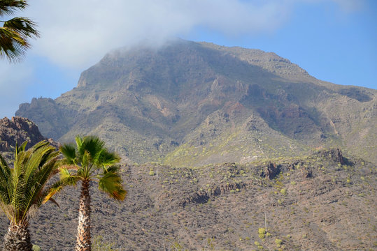 Beautiful view on Roque del Conde mount with palm trees in Torviscas Alto,Tenerife,Canary Islands,Spain.