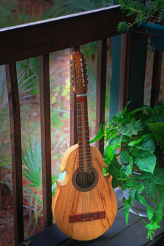 Puerto Rican Cuatro In A Balcony