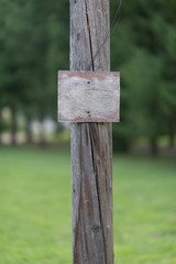 Wooden sign on the pole. Trees and green grass on the background