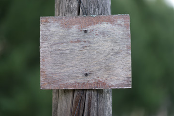 Wooden sign on the pole. Trees and green grass on the background