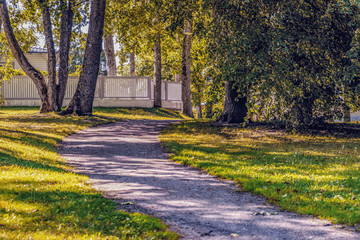 Fototapeta premium the autumn colors