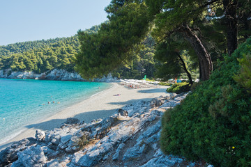 Rocks in a shade of a pine trees at morning, Kastani Mamma Mia beach, island of Skopelos, Greece - obrazy, fototapety, plakaty