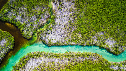 Drone view of nature at Sammy's Creek in Sugarloaf Key Miami Florida