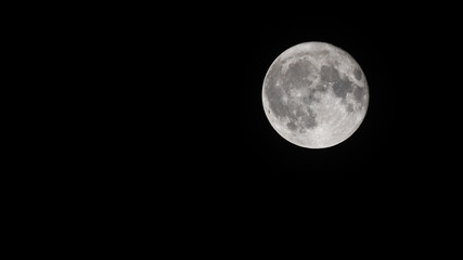Obraz premium The moon in white and gray in full roundness