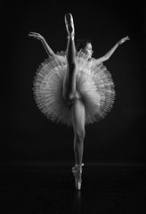 A young ballerina in a ballet tutu and on pointe. Black and white photo.