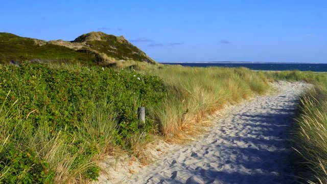 Sylt D&uuml;nen Landschaft in H&ouml;rnum mit Blick auf Amrum
