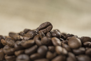 Macro of a coffee bean in roasted coffee grounds.