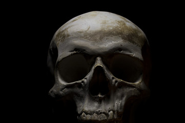 Skull