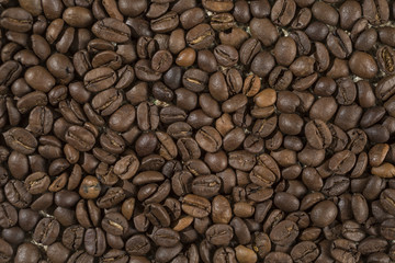 Macro of a coffee bean in roasted coffee grounds.