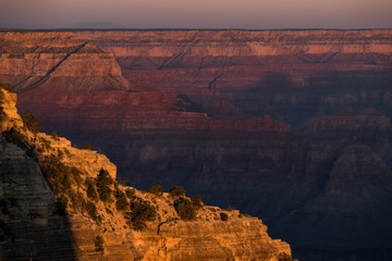 Fototapeta premium Grand Canyon Views