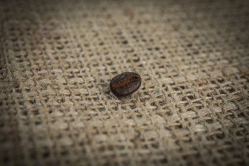 Close up of coffee bean on a hessian background.