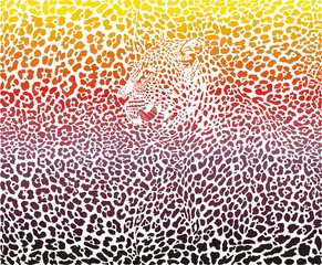Leopard abstract background