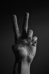 hand making the sign of peace and love