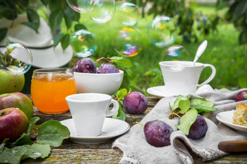 Eating apples juice pie coffee tea on a picnic in nature in a rustic garden on a sunny afternoon, the concept of outdoor recreation, travel and food