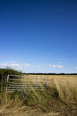 Open metal framed farm gate to farmland field in rural Hampshire