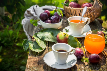 Eating apples juice pie coffee tea on a picnic in nature in a rustic garden on a sunny afternoon, the concept of outdoor recreation, travel and food
