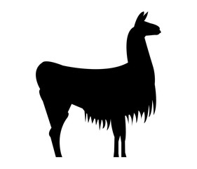 Black llama silhouette