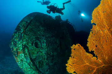 SCUBA divers exploring a large underwater shipwreck on a tropical coral reef