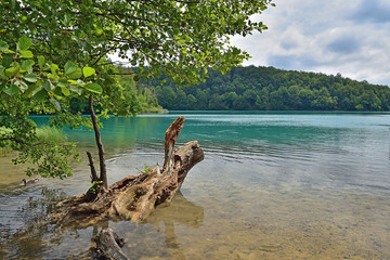 Fototapeta na wymiar Jezioro Kozjak w parku narodowym Jeziora Plitvickie. Chorwacja