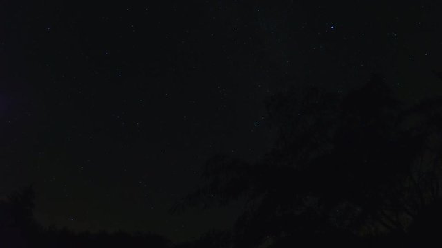 Starry night sky in garden as cosmos rotates around