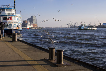Elbphilharmonie Hamburg