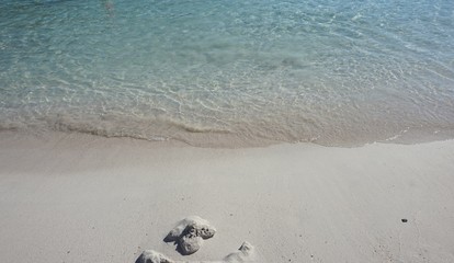 Orilla de playa de agua cristalina (Mallorca)