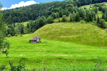 Tiny mountain house